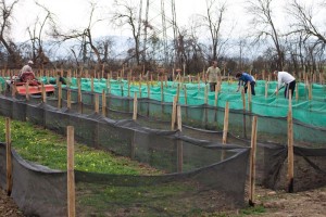 Giuseppe insieme ai ragazzi a Bicocca mentre ultimano i preparativi per ...