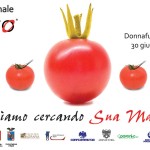 TOMATO_EXCELLENT_-_campagna_6x3_2011