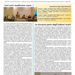 Newsletter_LUGLIO11