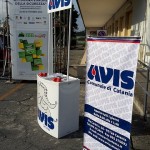 avis-esec