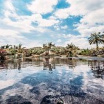 radicepura garden festival