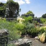 Re_Live (ph Alfio Garozzo) (1)