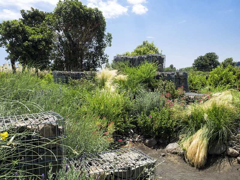 Re_Live (ph Alfio Garozzo) (1)