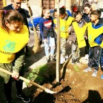 La messa a dimora ad opera degli alunni