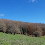 Il Parco sottratto dalla criminalità