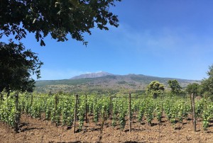 0_ETNA_TENUTA FERRATA