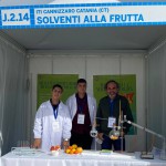 Solventi alla Frutta