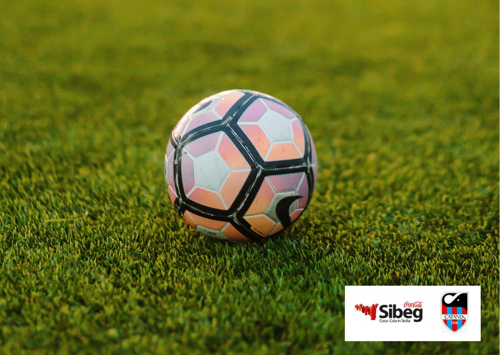 Senza titolo (Storia di Instagram) (Cartolina)