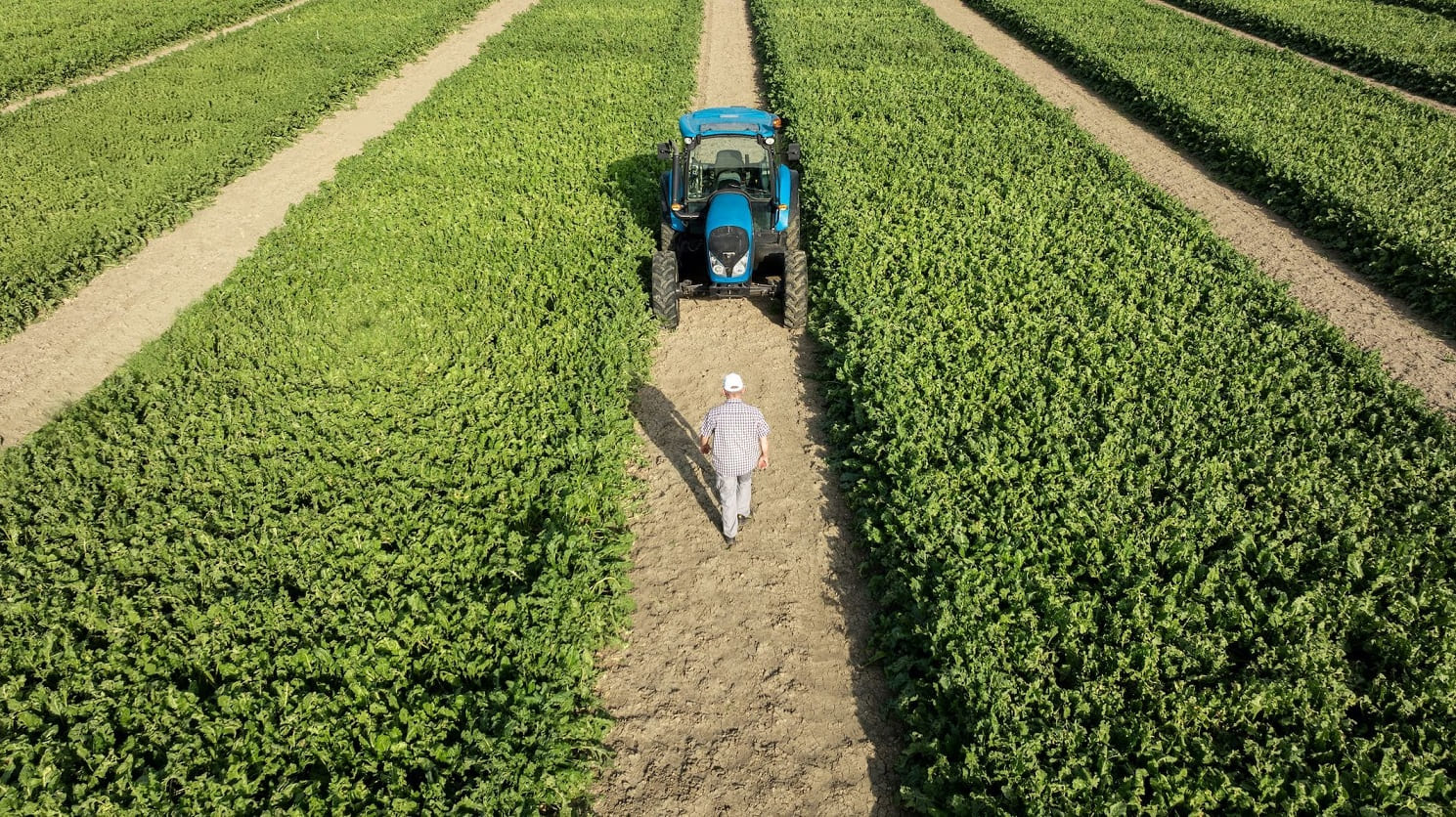 ItaliaZuccheri_campagna