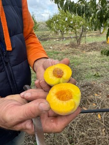 PH_presstour_PescaLeonforteIGP (2)