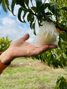 PH_presstour_PescaLeonforteIGP (4)