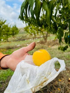 PH_presstour_PescaLeonforteIGP (5)