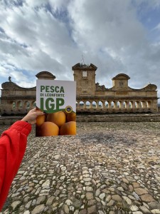 PH_presstour_PescaLeonforteIGP (6)