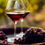 IRVO_Vinitaly2026 (2)