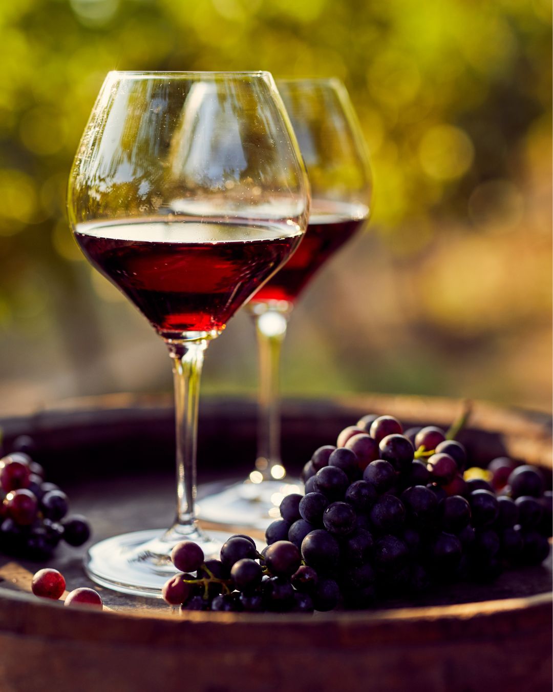 IRVO_Vinitaly2026 (2)