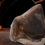 Biennale 5