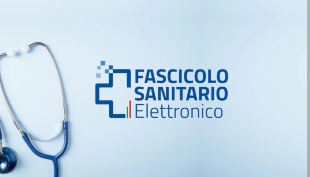 FSE 2