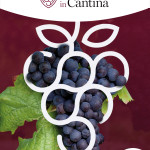 Autunno in Cantina