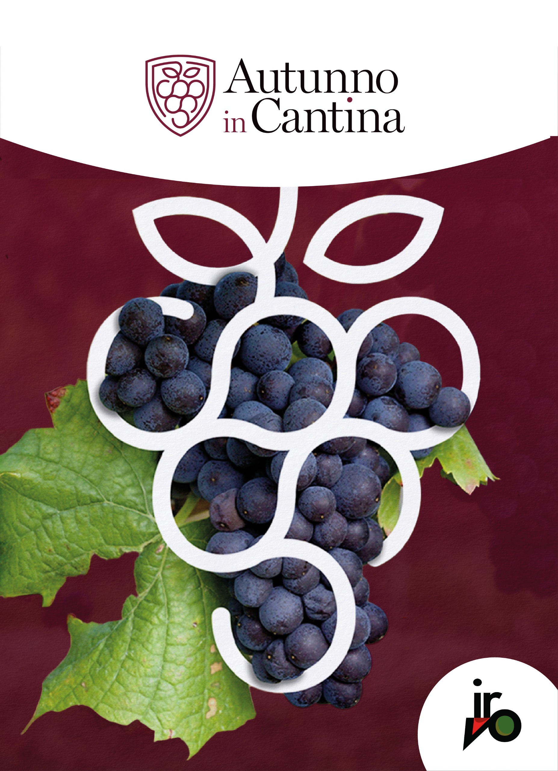Autunno in Cantina