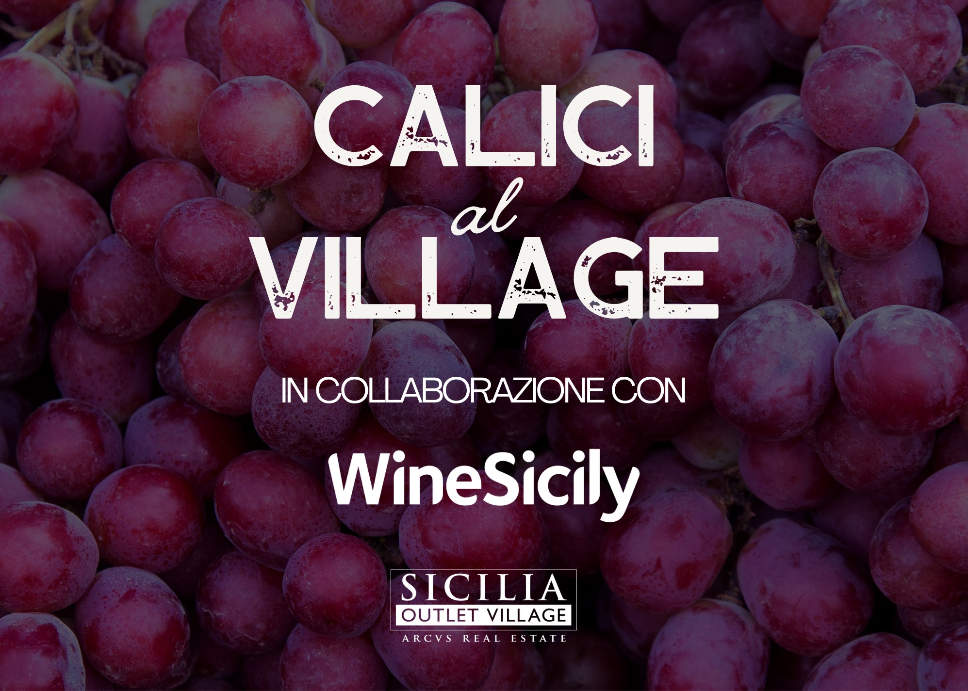 Calici al Village 2026