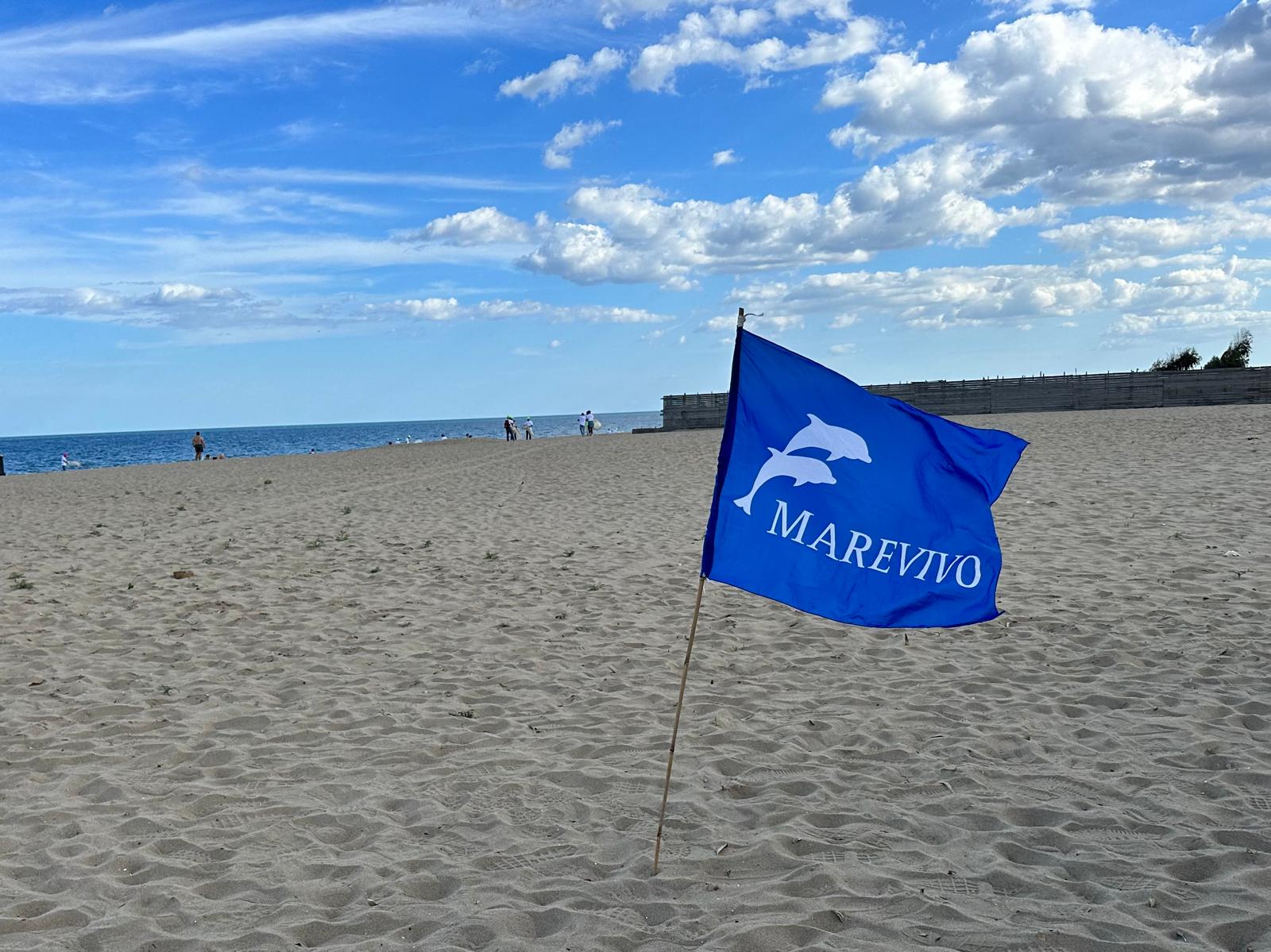 MareVivo 1