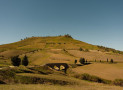 IL CAMMINO DI SAN GIACOMO PARTE DAL GRANO DI SICILIA