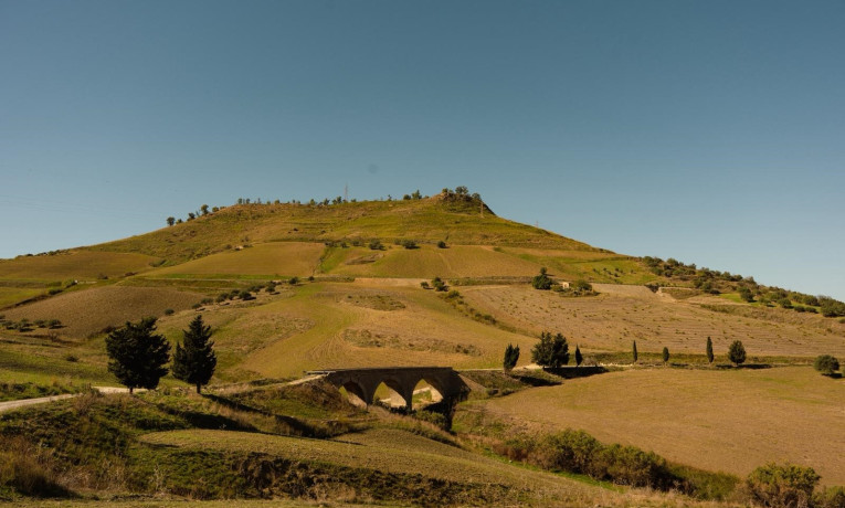 IL CAMMINO DI SAN GIACOMO PARTE DAL GRANO DI SICILIA