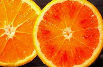 OGGI APERTURA AGRIORIENTA