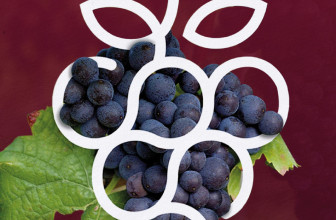 LA SICILIA DEL VINO CAMBIA STAGIONE: TORNA “AUTUNNO IN CANTINA”