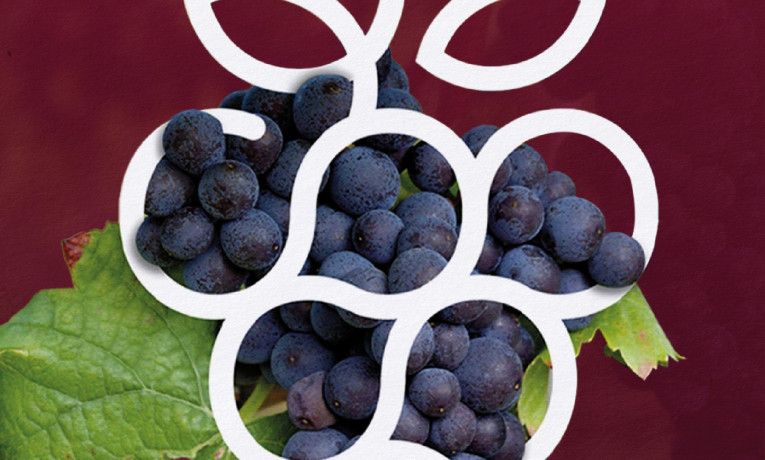 LA SICILIA DEL VINO CAMBIA STAGIONE: TORNA “AUTUNNO IN CANTINA”