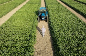 SIBEG E ITALIA ZUCCHERI-COPROB: RINNOVATO ACCORDO DI FORNITURA