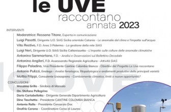 Viticoltura Sicilia: Colomba Bianca presenta il libro sulle uve alla scoperta delle vigne dell’Isola