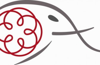 COMMERCIALISTI – IN BREVE