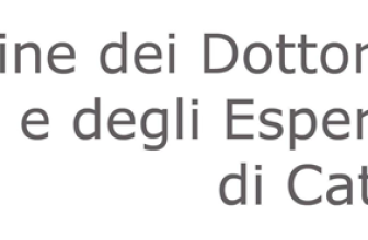 COMMERCIALISTI CT – IN BREVE