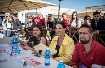 STEFANIA PETYX: «SICILIANI, PADRONI IRONICI E COMPLICI DEI LORO CANI»