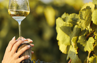 Dalla Sicilia a Vinoble 2026: “Sun Belt” patrimonio culturale immateriale dell’umanità