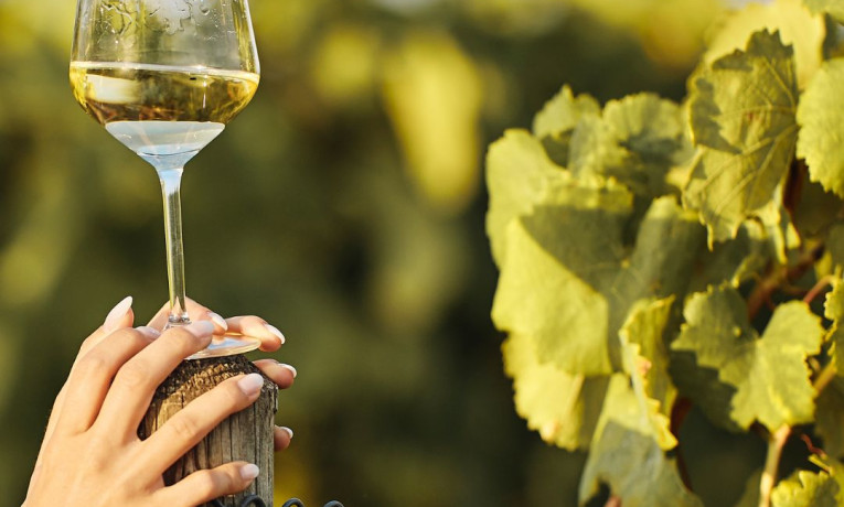 Dalla Sicilia a Vinoble 2026: “Sun Belt” patrimonio culturale immateriale dell’umanità
