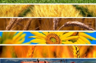 AGRIORIENTA, PROGRAMMA CONVEGNI