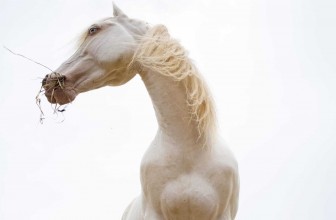 LIBRINO, INAUGURAZIONE DELLE NUOVE OPERE DEL MUSEO MONUMENTALE A CIELO APERTO “MAGMA”
