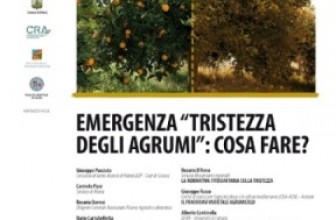 RIBERA, INCONTRO SU “TRISTEZA” AGRUMI